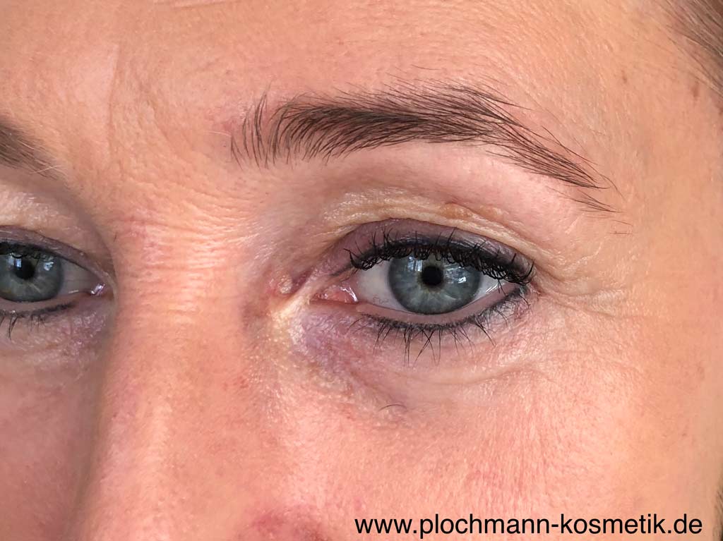 Permanent Make Up Augen Plochmann Regine Plochmann Kosmetik Permanent Make Up Regine Plochmann
