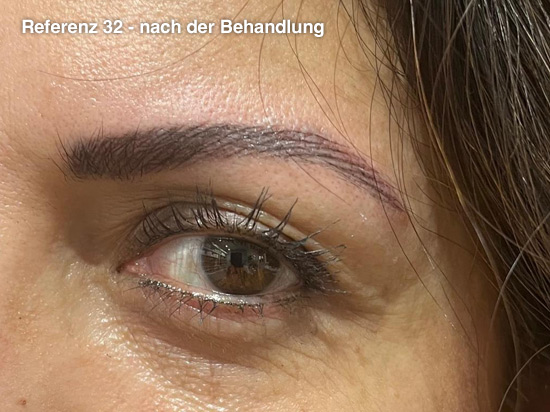 Permanent Make-up Augenbrauen Referenz 32n